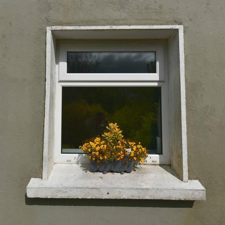 Peaceful Cottage Cork Exterior photo